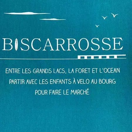 Lou Bisca Paradise *